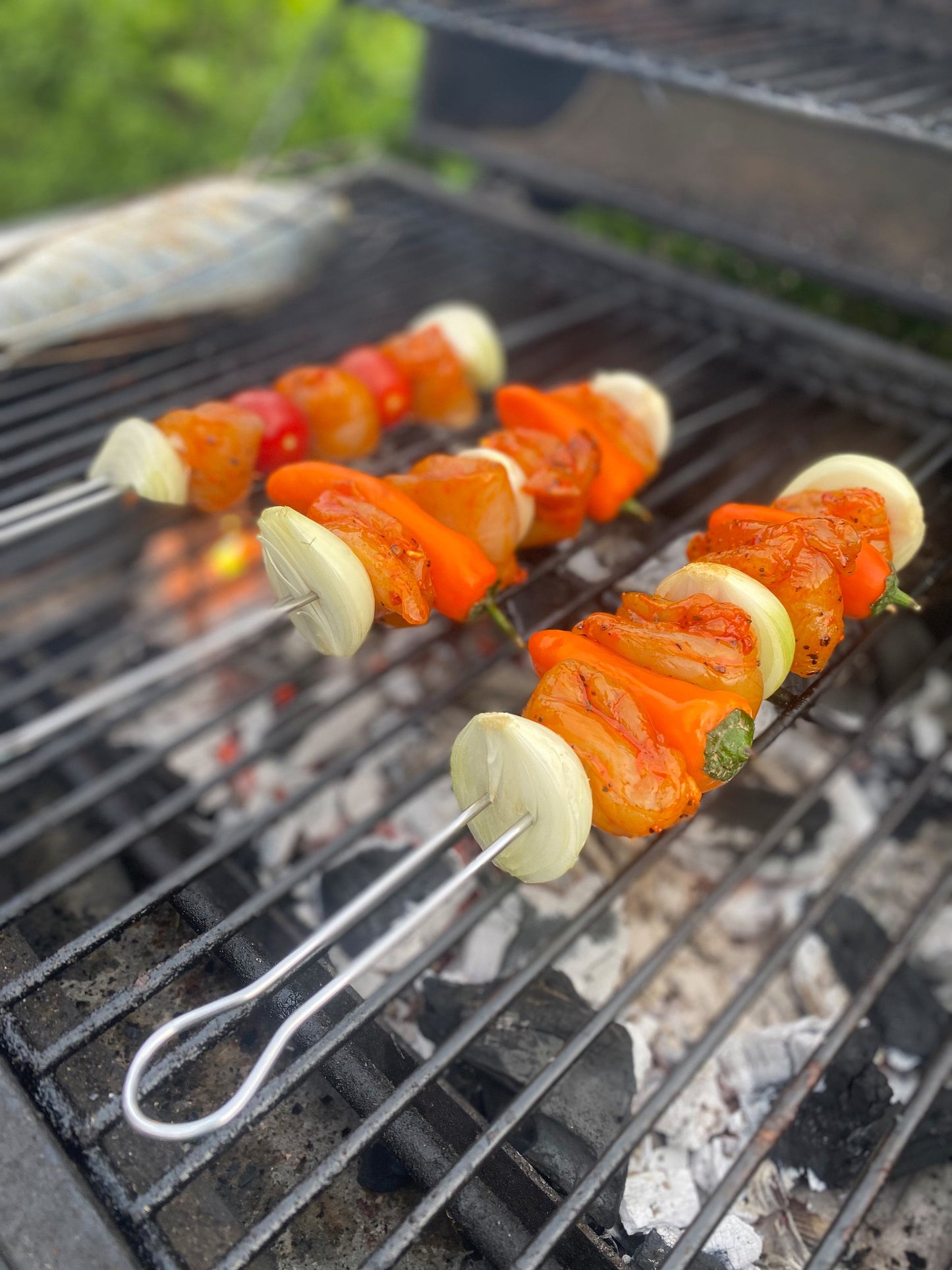 10x Doppelter Grillspieß MADE IN GERMANY Bratspieß Schaschlik