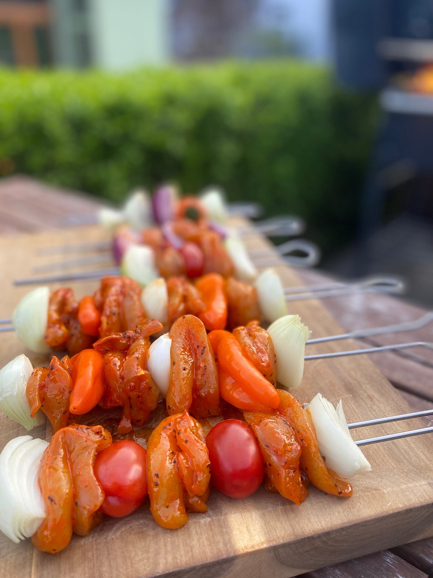 10x Doppelter Grillspieß MADE IN GERMANY Bratspieß Schaschlik